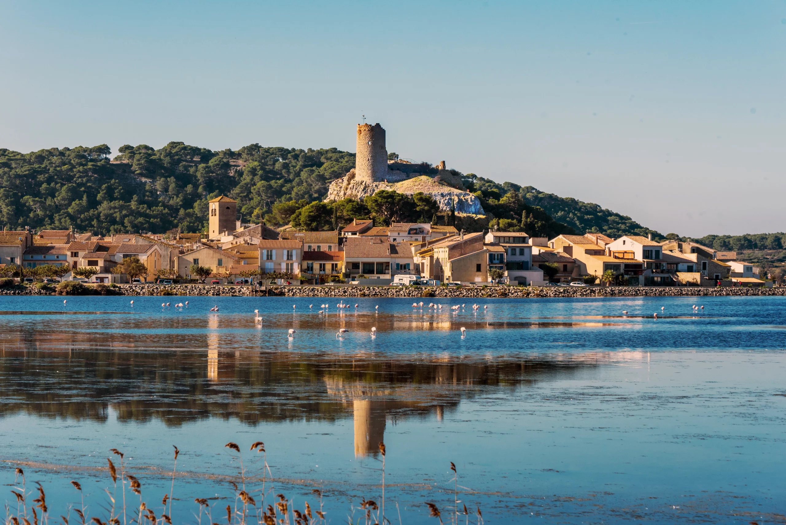 gestion locative saisonnière Gruissan Gala Immobilier